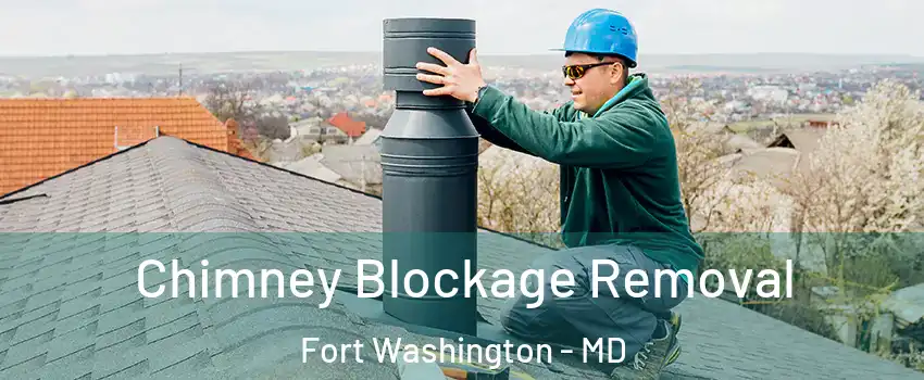  Chimney Blockage Removal Fort Washington - MD