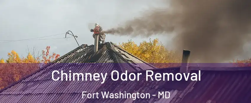  Chimney Odor Removal Fort Washington - MD