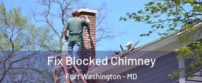  Fix Blocked Chimney Fort Washington - MD