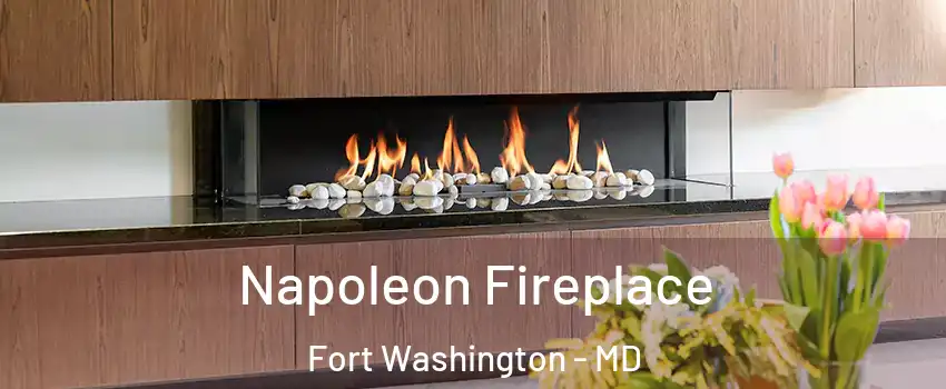  Napoleon Fireplace Fort Washington - MD
